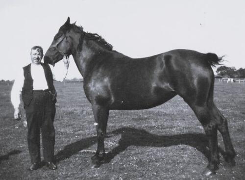 <br>um 1930