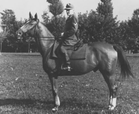 <br>um 1936