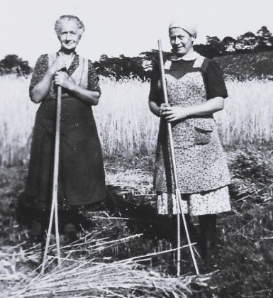 <br>um 1948