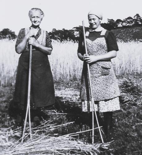 <br>um 1948