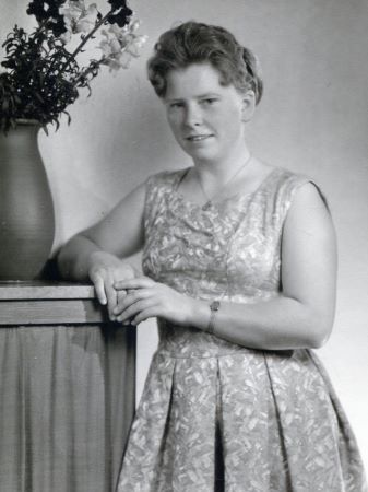 <br>um 1960
