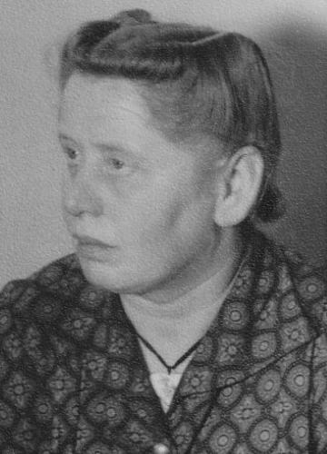 <br>um 1955