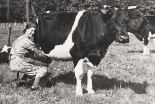 <br>um 1929