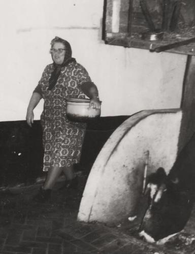 <br>um 1962