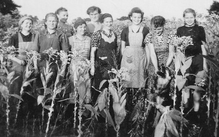 <br>um 1950