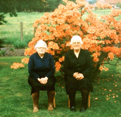 <br>1985