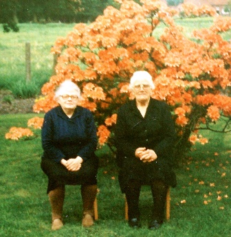 <br>1985