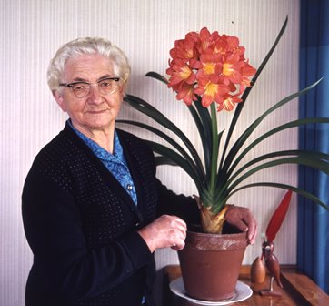<br>um 1970