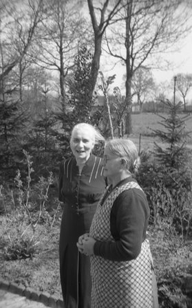 <br>1954