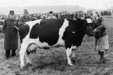 <br>um 1955